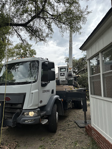 Leatherface Tree Service in Dallas