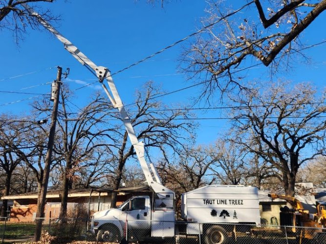 Taut Line Treez in Weatherford