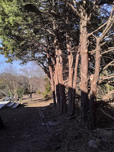 MadMike and Son Lawn and Tree Service in Midlothian