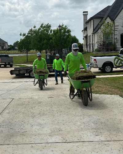 Texas Fireman Lawn & Landscape in McKinney