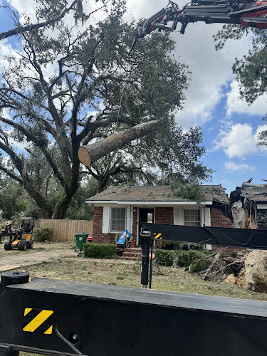 Texas Tree Transformations Irving in Irving