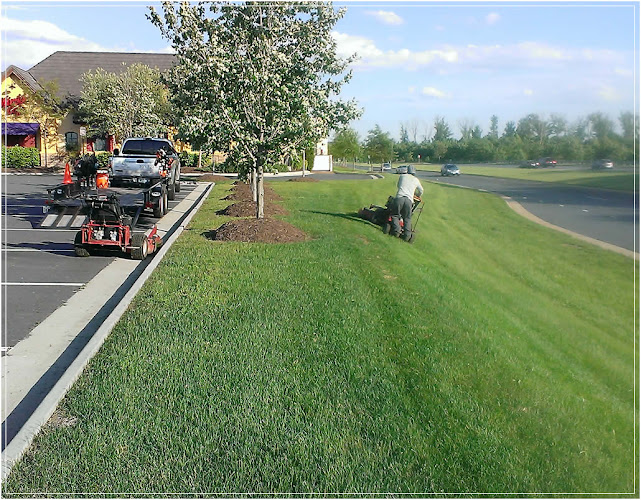 Mata Lawn Care in Celina