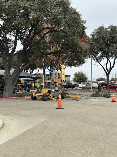 Paradise River Tree Services in Grand Prairie