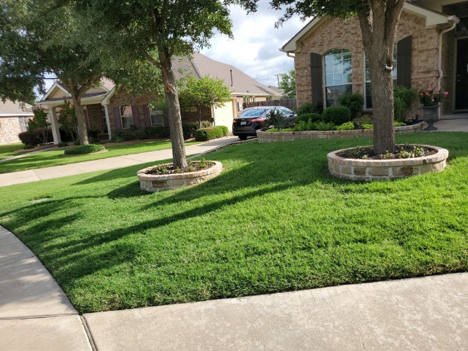 Green Top Lawn Care in Euless