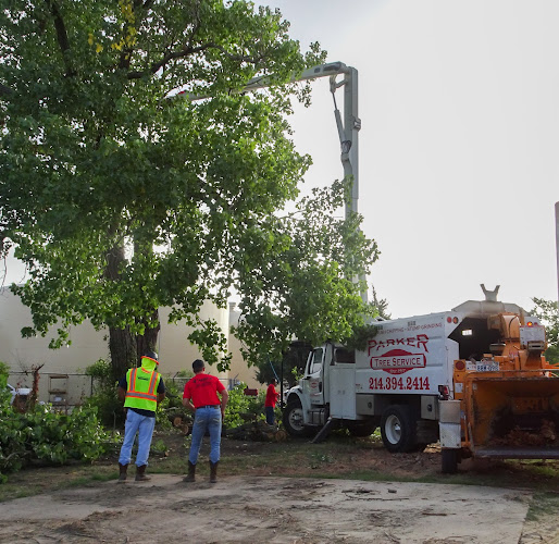 Parker Tree Service in Allen