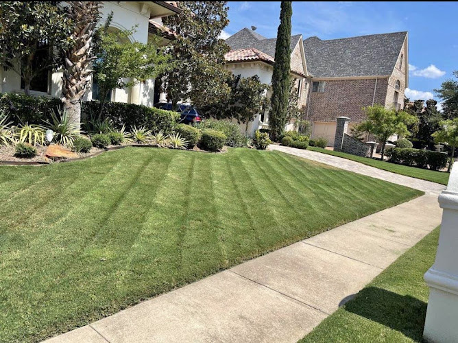 Ramirez Landscape and Lawn Care in Plano