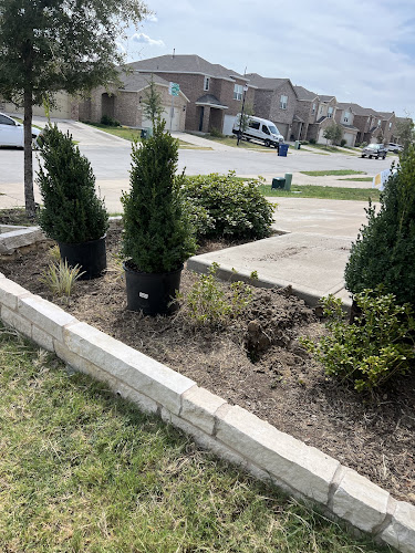 Juan outdoor services in Greenville