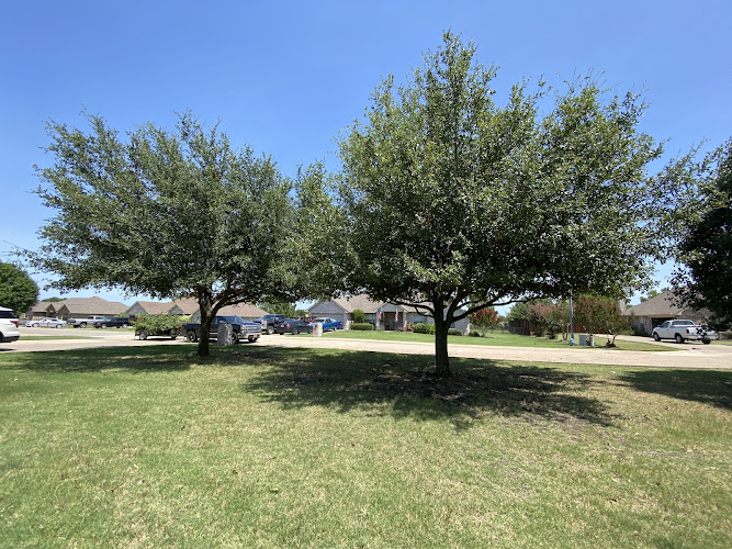 Tree Geeks LLC in Royse City