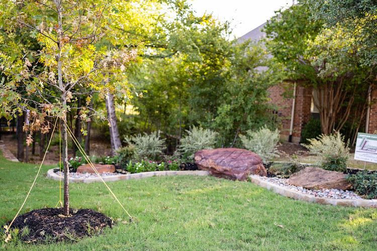 Landscape Living in Denton
