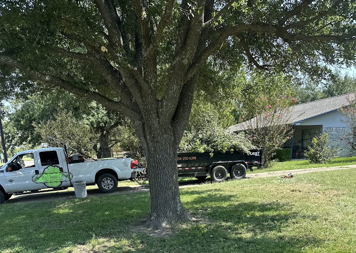 B&L Timber Co in Wills Point