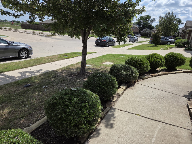 LawnStarter - Dallas Landscaping in Mesquite