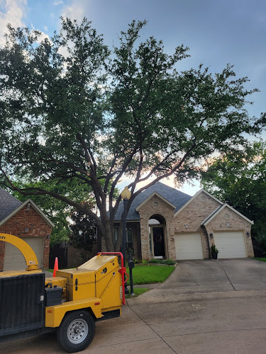 Ridgeline Tree Services in Fort Worth