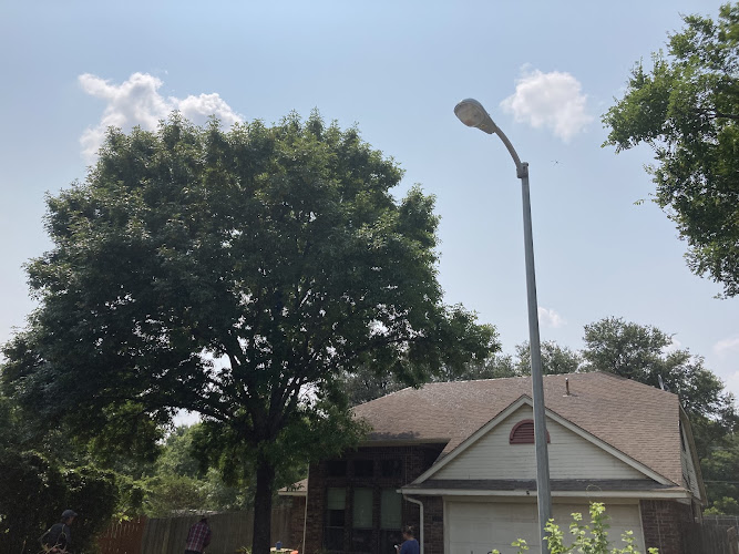 Tree Service Advisor in Balch Springs