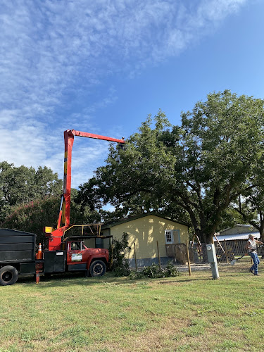 BRANCH BOSS TREE CO in Cleburne