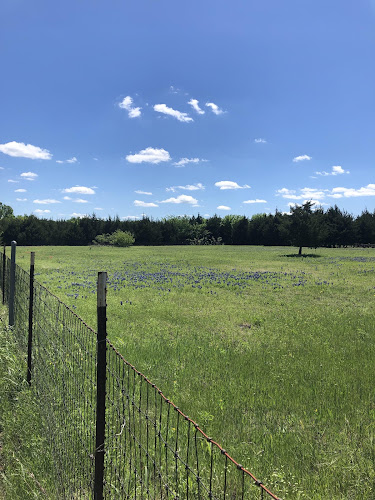 BrightView Landscapes in Haltom City