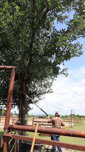 Crimson Oaks Tree Service LLC in Springtown
