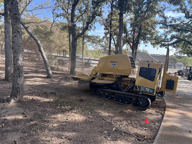 U.S. Tree Care Service Carrollton in Carrollton