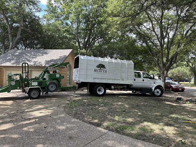 Mercer Tree Service in Fort Worth
