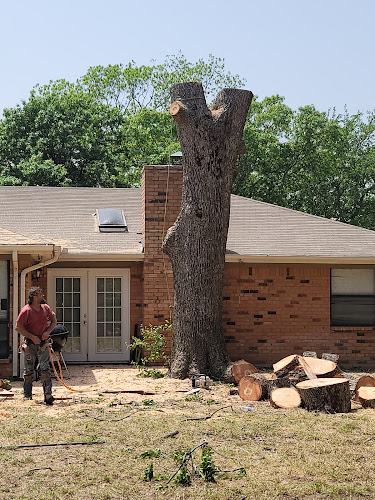 Chameleon Tree Service in Granbury