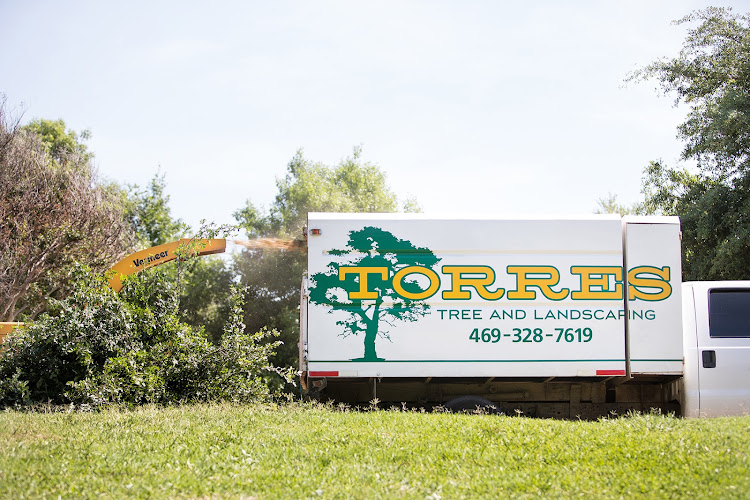 Torres Tree Service and Landscaping in Grand Prairie