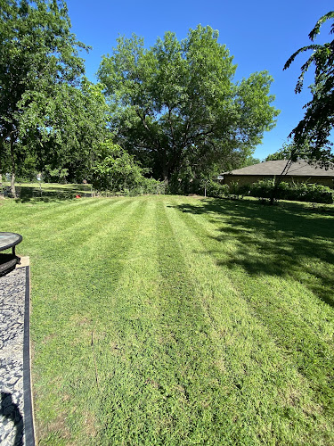 Bull landscaping in Denton