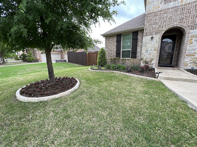 Macario Lawn and Landscaping Service in Wylie