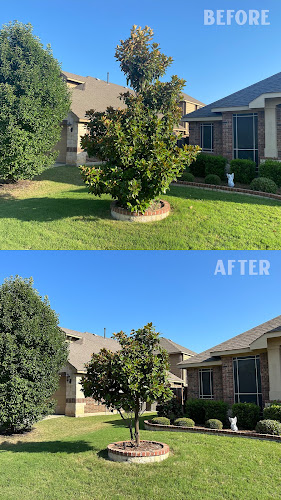 Pro Bros Landscaping Company in Cleburne