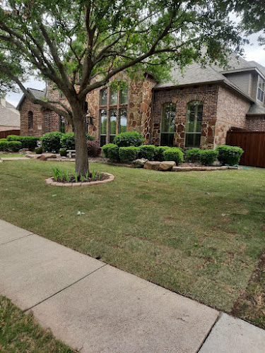 Lindgren's Lawn and Landscape in McKinney