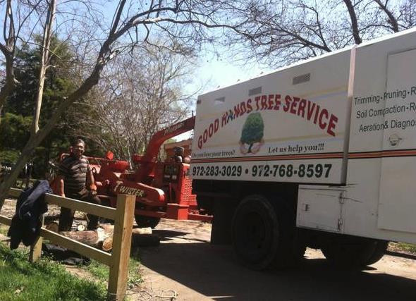 Good Hands Tree Services in Dallas