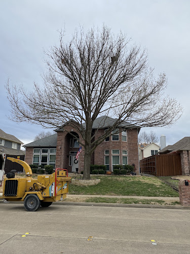 Twin Oak Solutions in Carrollton