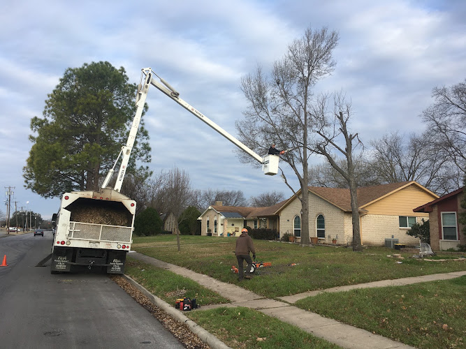 Aspen Tree Service in Wylie