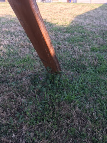 Fresh Lawn Mowing Service in Dallas