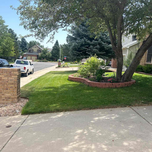 LawnStarter - Arlington in Arlington
