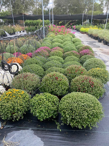 A & M Nursery & Supplies in Arlington