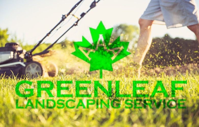 AAA Greenleaf in Forney
