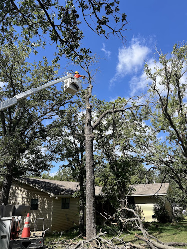 Deeply Rooted Tree Services, LLC in Bridgeport