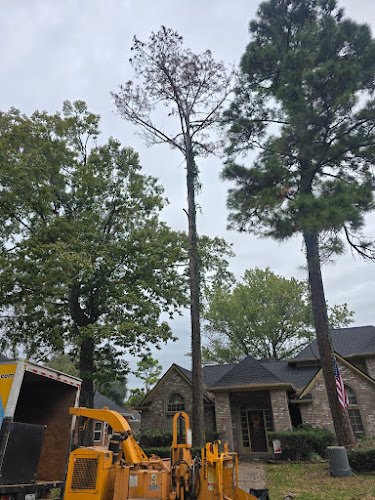 Maverick Tree Service in Midlothian