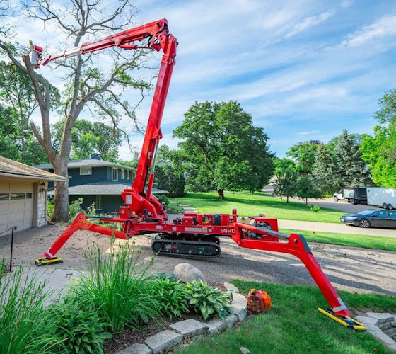 5 Points Tree Service in Terrell