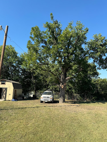 Alvarado Tree Service in Fort Worth