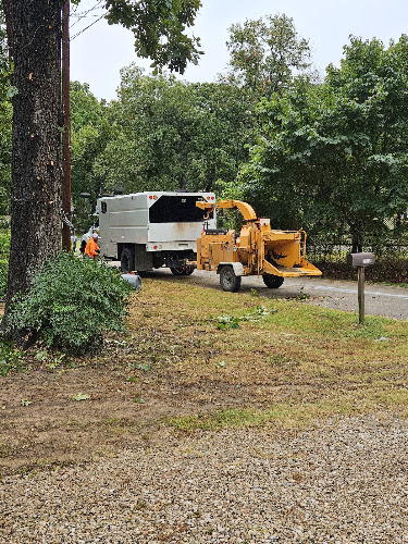 D & M Tree Service in Royse City