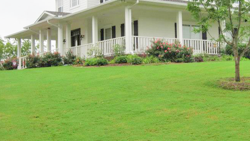 Texas Yard Pro, Inc. in Greenville