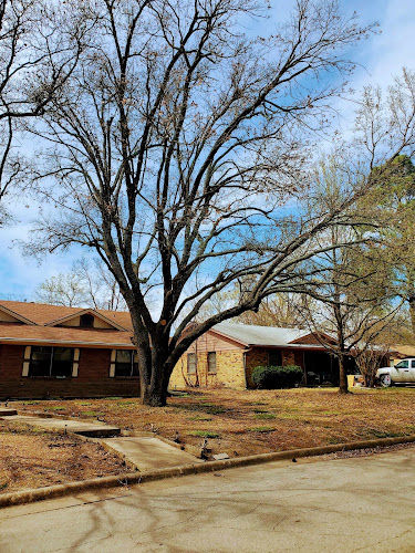 Mother Nature Tree Care in Caddo Mills