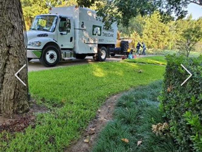Prichard Tree Care in North Richland Hills