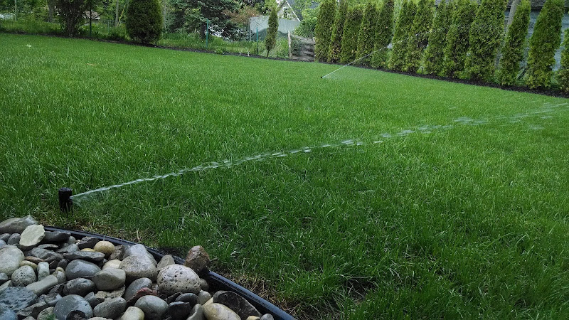Green City Landscape and Lawn Care LLC in Mesquite