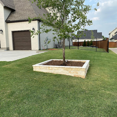 Perfect Green Lawn and Landscape in Frisco