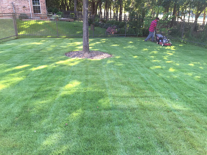 Verde Lawn Services in Lewisville
