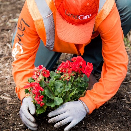LandCare in Grand Prairie