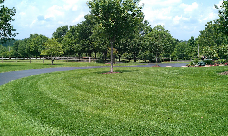 All Seasons Lawn Care in Melissa
