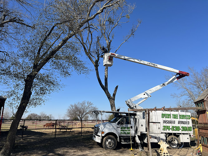 Speedy Tree Services in Farmersville