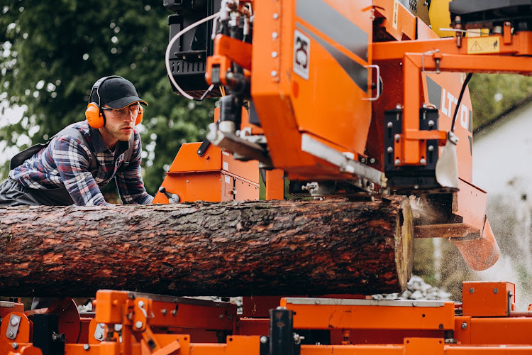 Tree Service Boss of Sherman in Sherman